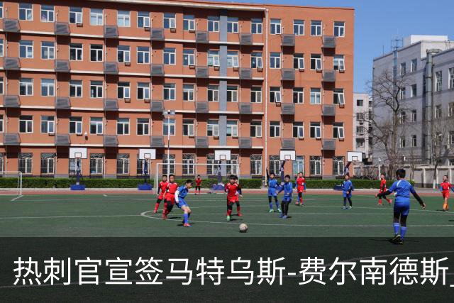 热刺官宣签马特乌斯-费尔南德斯 转会费8500万镑破纪录