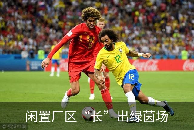 闲置厂区“长”出绿茵场